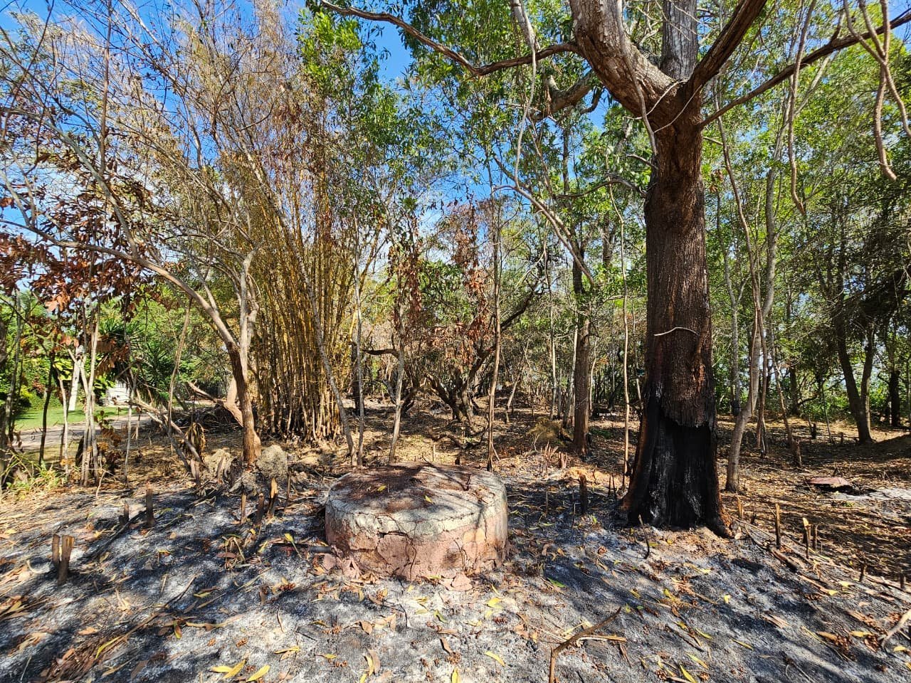 Terrenos Escriturados – Enseada das Garças (Fundão/ES) — foto 5